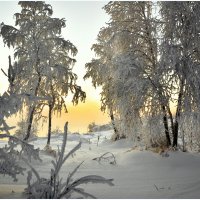 Утро зимы :: Василий Хорошев