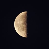 луна в 4 утра :: Михаил Жуковский