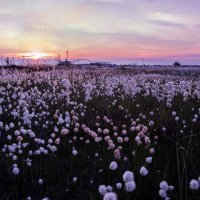 * :: Александр Пахилов