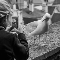 фотосессия :: Анатолий Зинкевич 