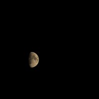 Луна. :: Полина Ямина
