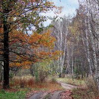 Там на неведомых дорожках... :: Михаил Болдырев 