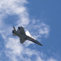 CF-18, Hornet :: Сергей Бушуев