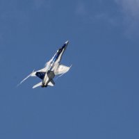 CF-18, Hornet :: Сергей Бушуев