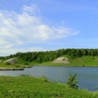 Сельский пруд :: Елена Шемякина