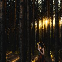 Тихо в лесу :: Ульяна Инко