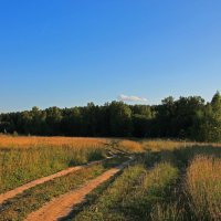 В полях под Абрамцево :: Анна Букина