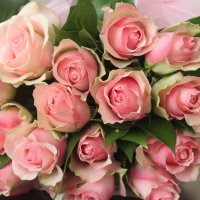 Розовые розы :: Таня Фиалка