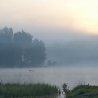 Рассвет на озере :: Юрий Цыплятников