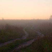 Дорога в туманное утро :: Татьяна Копосова