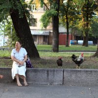 в минуте от центра города :: Елена 