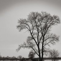 Winter Road. :: Андрий Майковский