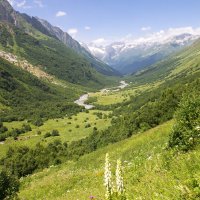 Долина Домбай-Ульгена :: Наталья Федорова