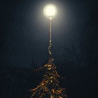 Single lantern :: Кирилл Троценко