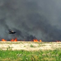 пожар в степи :: Константин Снежин