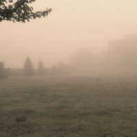 Утро, туман, завод. :: Андрей Печерский 