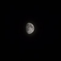 Луна :: Александра Гоголева