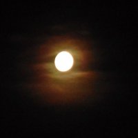 Луна на тёмном небосводе :: Нина 