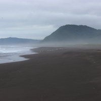 Халактырский пляж. Черный, вулканический песок :: Александра Кондакс