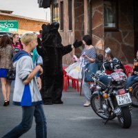 Превед, медвед! :: Дмитрий Шкредов