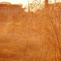 Прогулки по городу. :: Александра Михайлина