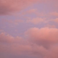 Ванильные облака :: Наталья Макарова