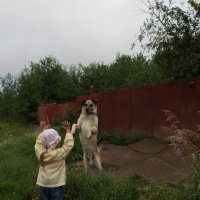 Дрессировщица :: Мария Павлова