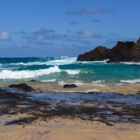 Пляж Honolulu :: Vita Farrar