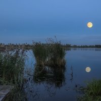 Ночное озеро :: Эдуард Пиолий