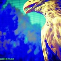 EAGLE :: Roman GreenBear
