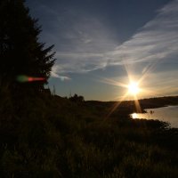 вечернее солнце. :: марина ржаницына 