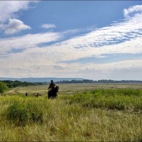 Пастух :: Любовь Потеряхина