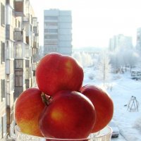 Яблоки в вазе :: Наталья Золотых-Сибирская