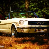 Ford Mustang 1964r :: Janusz Wrzesień
