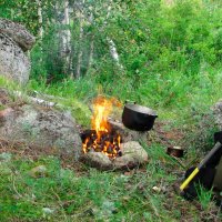 По заповідних місцях :: МищЪя Бульбо