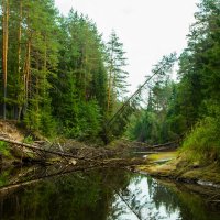 река Ворон :: Павел Фролов