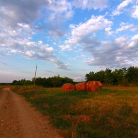 деревня :: Юлия Чорнявская