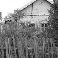 Заброшенный дом :: Елена Зенкина