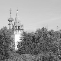 Лазаревская церковь (Суздаль) :: Анастасия S
