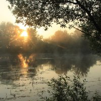 На реке :: Татьяна Баценкова