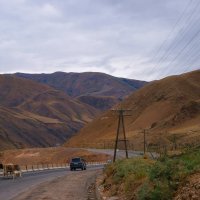 Тянь-Шань  Киргизия :: Рыжик 