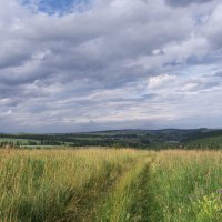 Перед дождем :: Галина Татьяныч