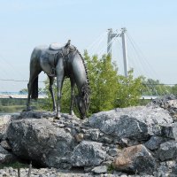 Памятник лошади :: GALINA 