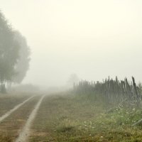 дорога в туман :: Игорь 