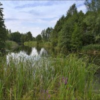 Августовский водоём :: Любовь Потеряхина