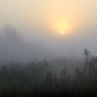 Сквозь туман... :: Андрей Войцехов