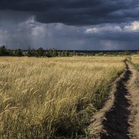 Хмурый день. :: Юрий Клишин