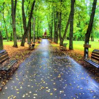 Осенний парк :: Андрей Куприянов