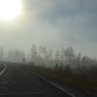 Туман, туман окутал землю вновь... :: Людмила 