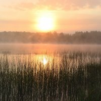 Рассвет на озере Рукоярви :: Лидия Рьянова